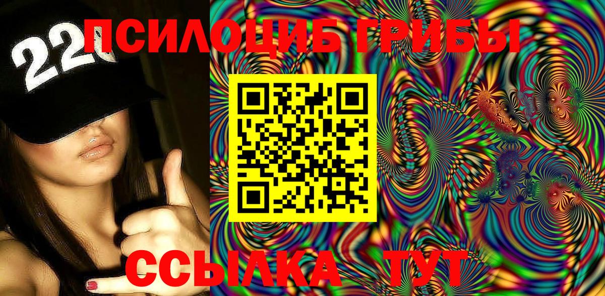 Псилоцибиновые грибы Psilocybine cubensis  что такое   Красноуфимск  Вход с VPN 