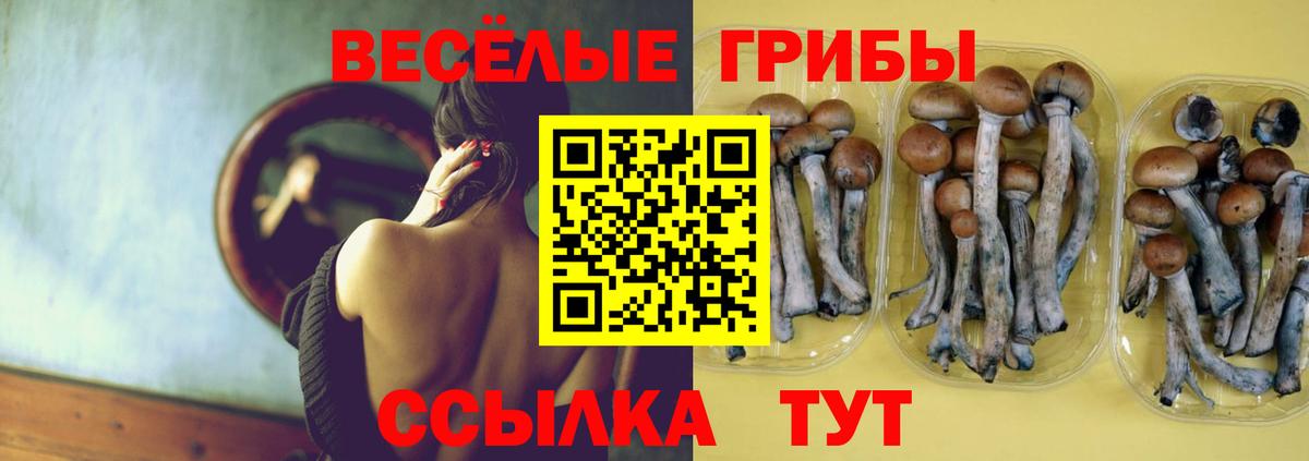 Псилоцибиновые грибы Cubensis Красноуфимск