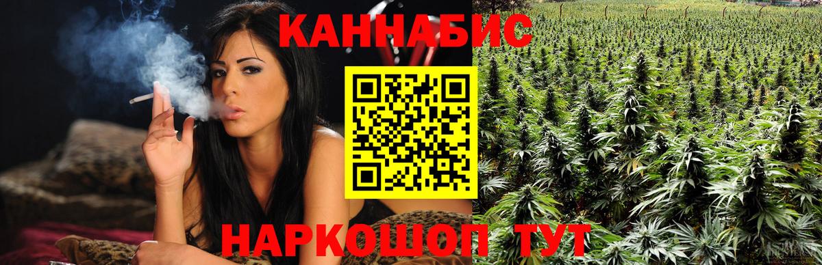 Конопля сатива Красноуфимск
